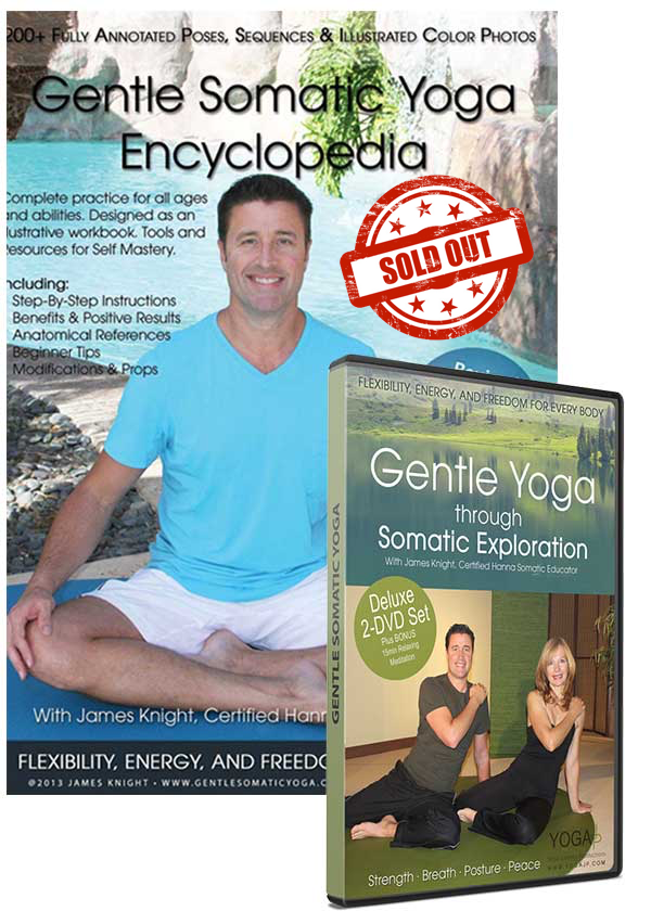 DVD and Workbooks - Gentle Somatic Yoga