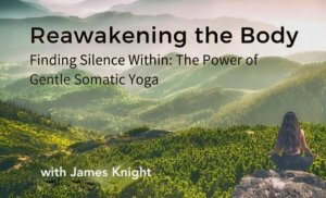 Re-awakening the body