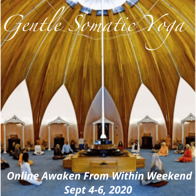 Gentle Somatic Yoga weekend online sept 4-6 2020