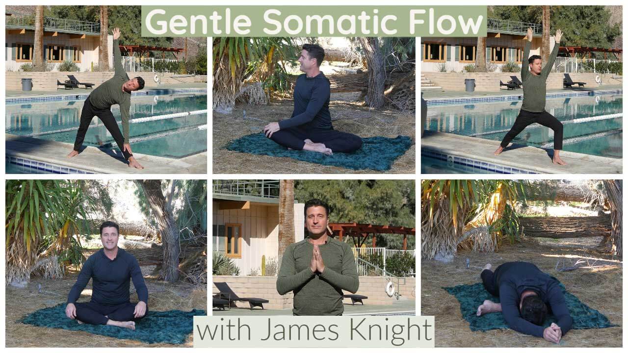 Gentle Somatic Flow: The Desert Series