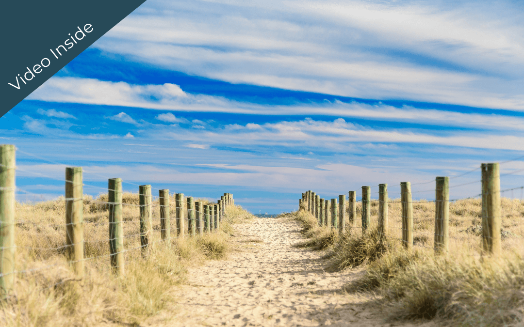 Gentle Somatic Yoga® for pain relief and deep self-care