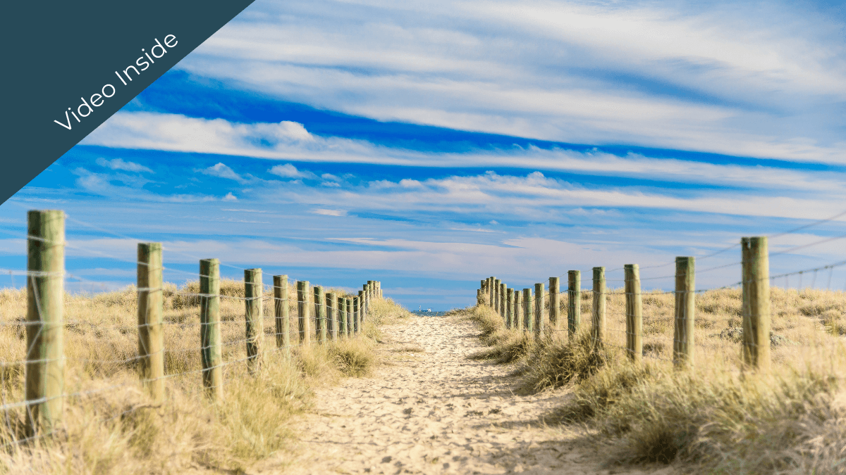 Gentle Somatic Yoga® for pain relief and deep self-care