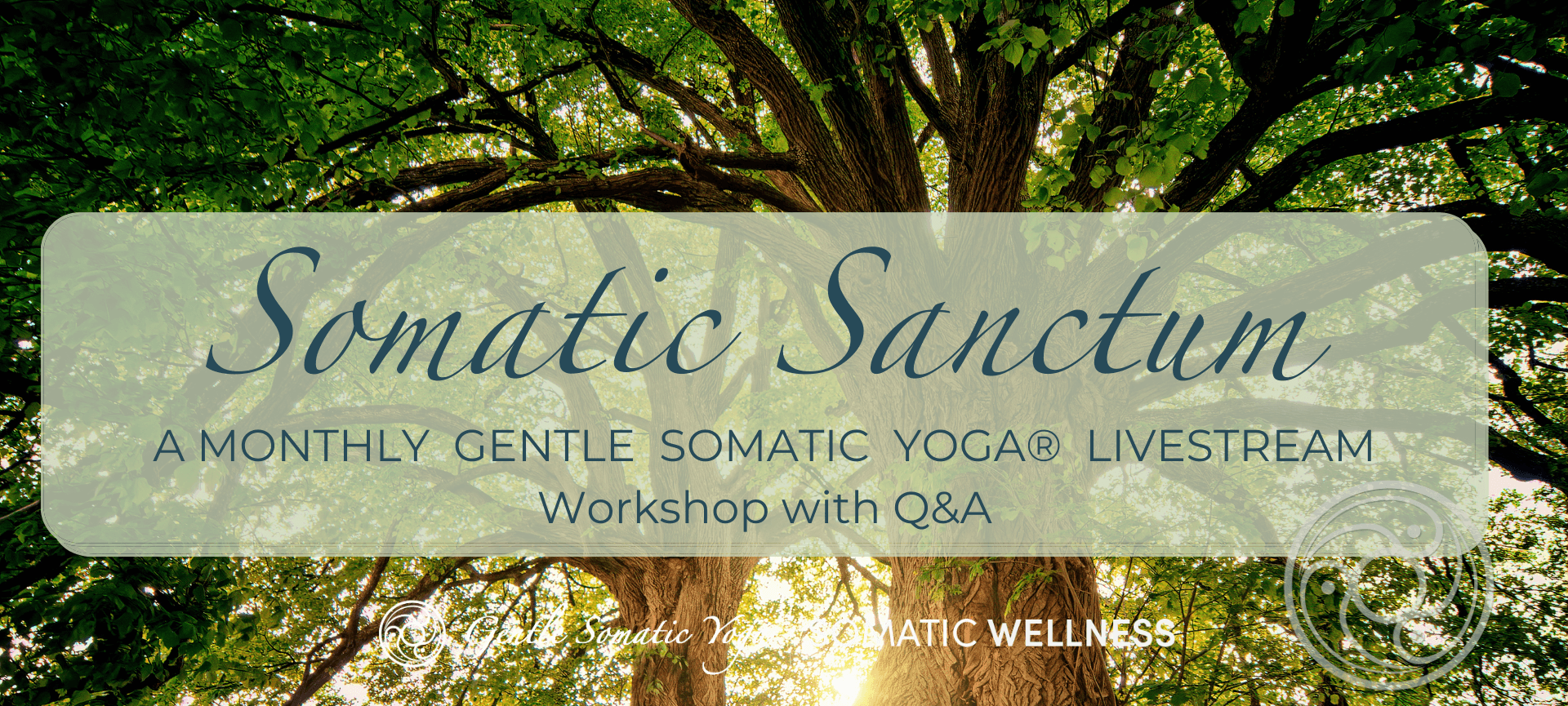 Gentle Somatic Flow: The Desert Series